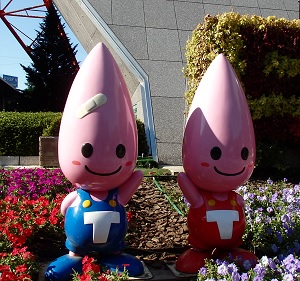 Noppon brothers