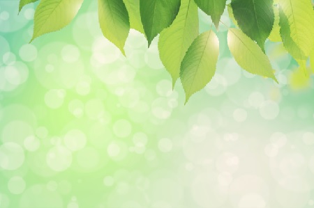 sparkling green