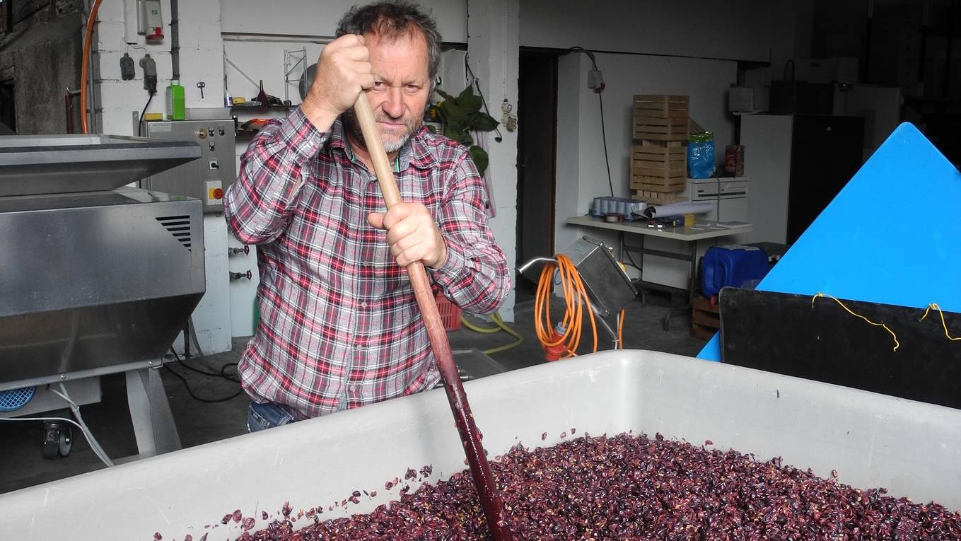 Für den Rotwein müssen die Trauben zuerst 7 - 10 Tagen in den Häuten gären. Hans-Heinrich Haug muss den gepressten Saft regelmässig überprüfen. - © Kevin Capellini