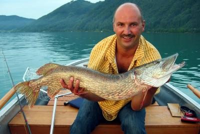 102cm Freiwasserhecht vom Attersee