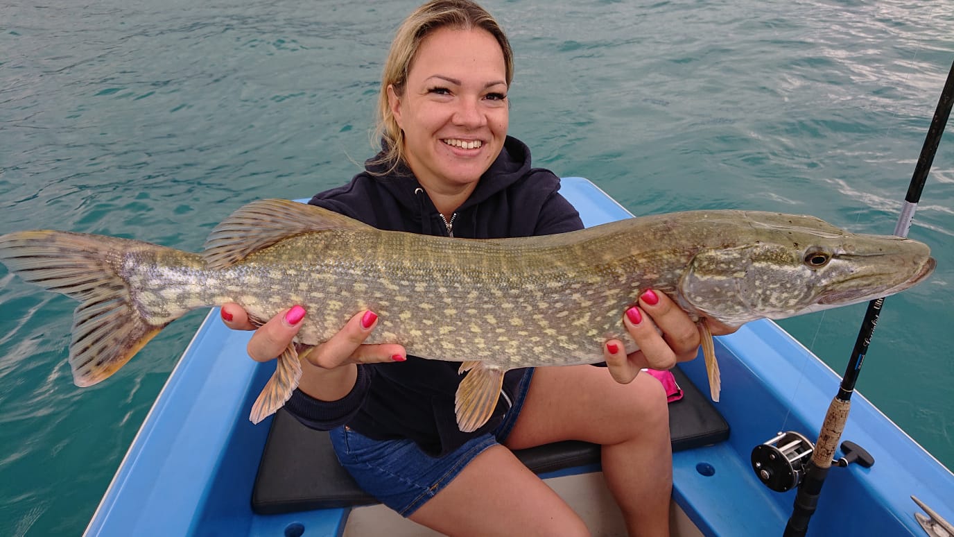 Schöner Hecht aus dem Attersee