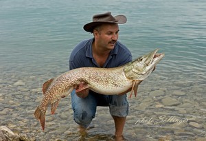 pike fishing in Austria