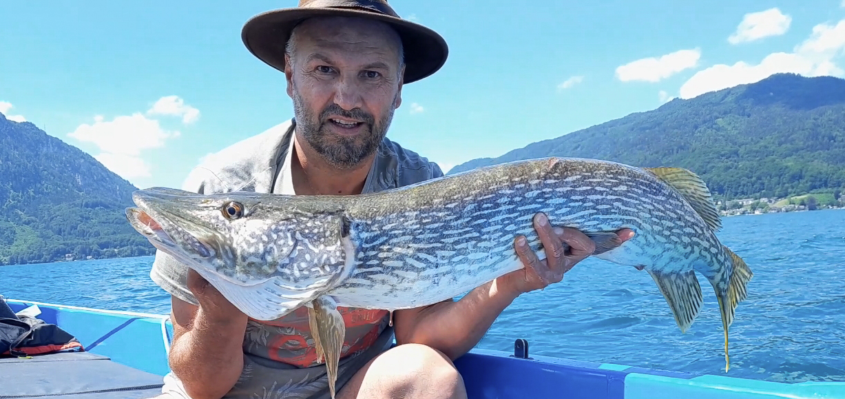103cm Hecht beißt auf einen 27cm Swimbait