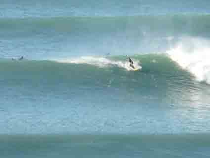 Le surf en toute saison