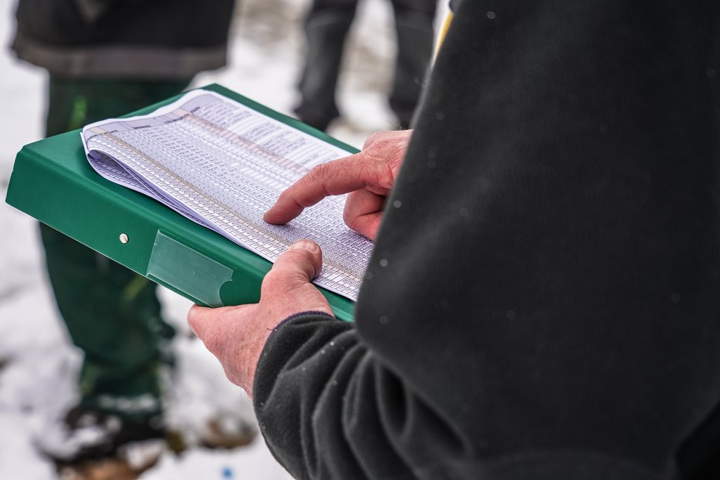 Auf der Submissionsliste stehen die Ergebnisse