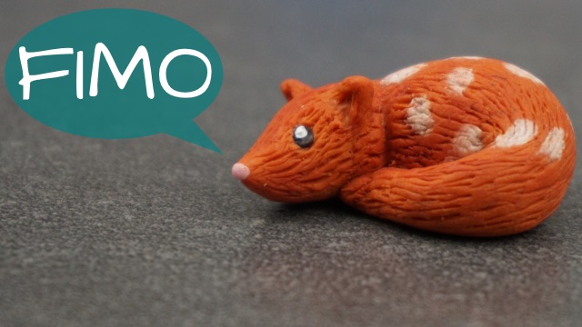 Quoll