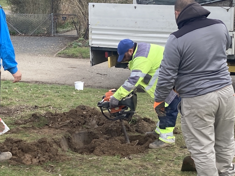 - die Erde wird aufgehoben und gelockert -