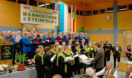 beim MGV Steinfeld - 2011