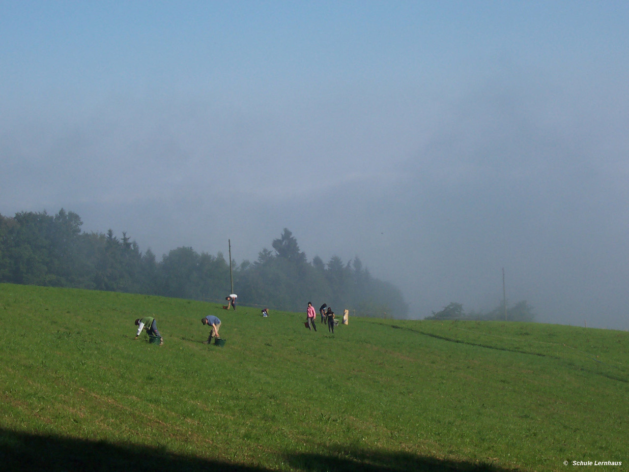 Blacken ausstechen beim Bauern