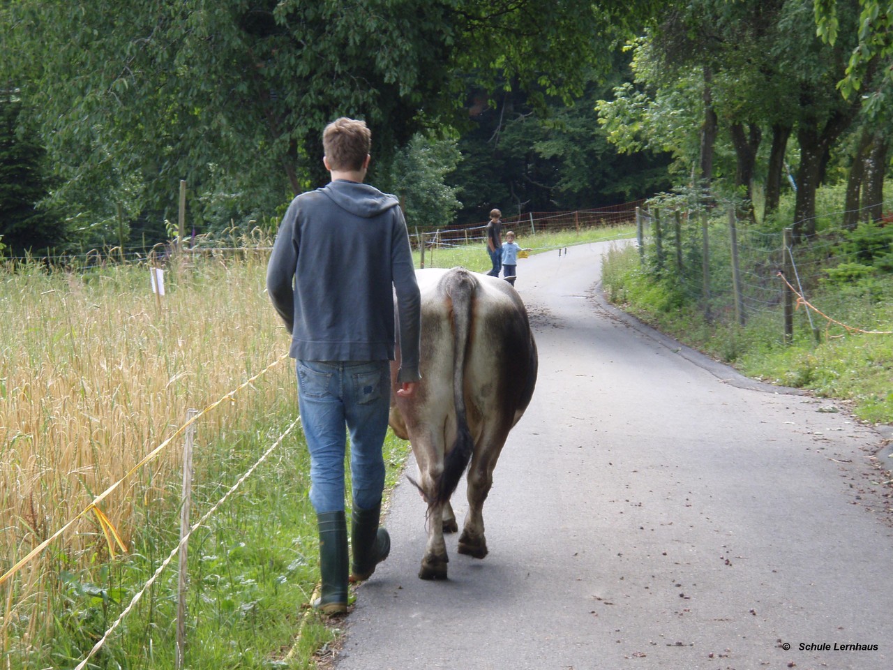 Jolanda auf die Weide bringen (2007)