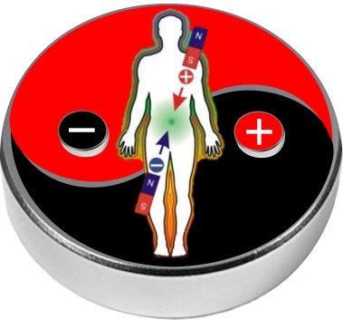 Página web de kinesiologiaybiomagnetismo