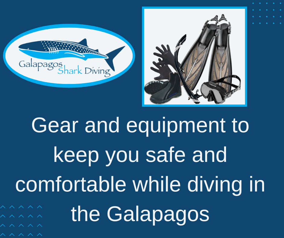 The Best Dive Equipment for Diving in the Galapagos