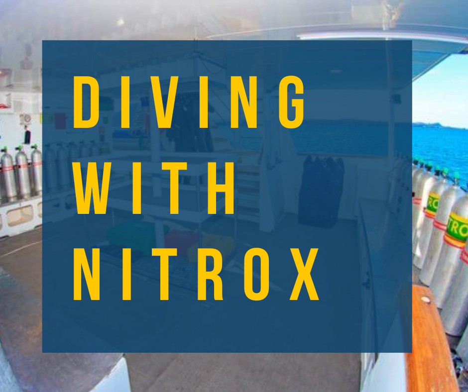 Diving with Nitrox in the Galapagos Islands