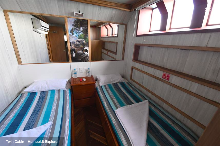  Galapagos Shark Diving - twin bed cabin on the lower deck of the ship Galapagos Dive Liveaboard