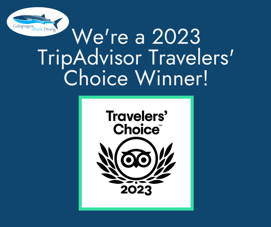 2023 TripAdvisor Travelers' Choice 