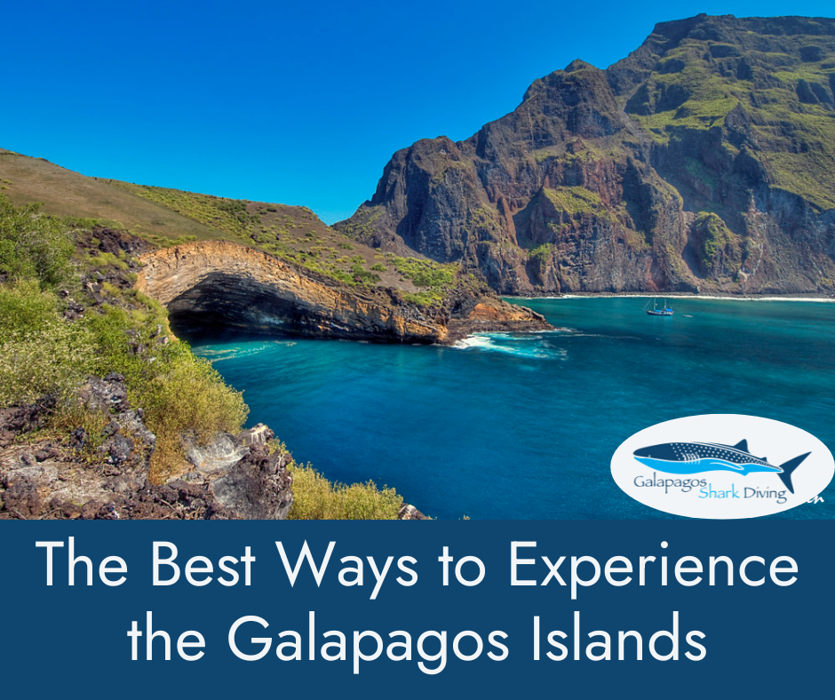 The Best Ways to Experience the Galapagos Islands