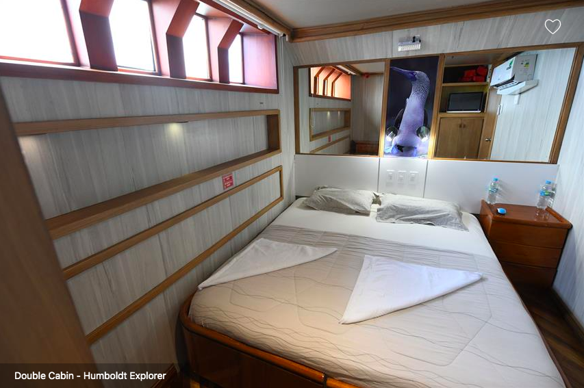 Galapagos Shark Diving - double bed cabin on the lower deck of the ship Galapagos Dive Liveaboard