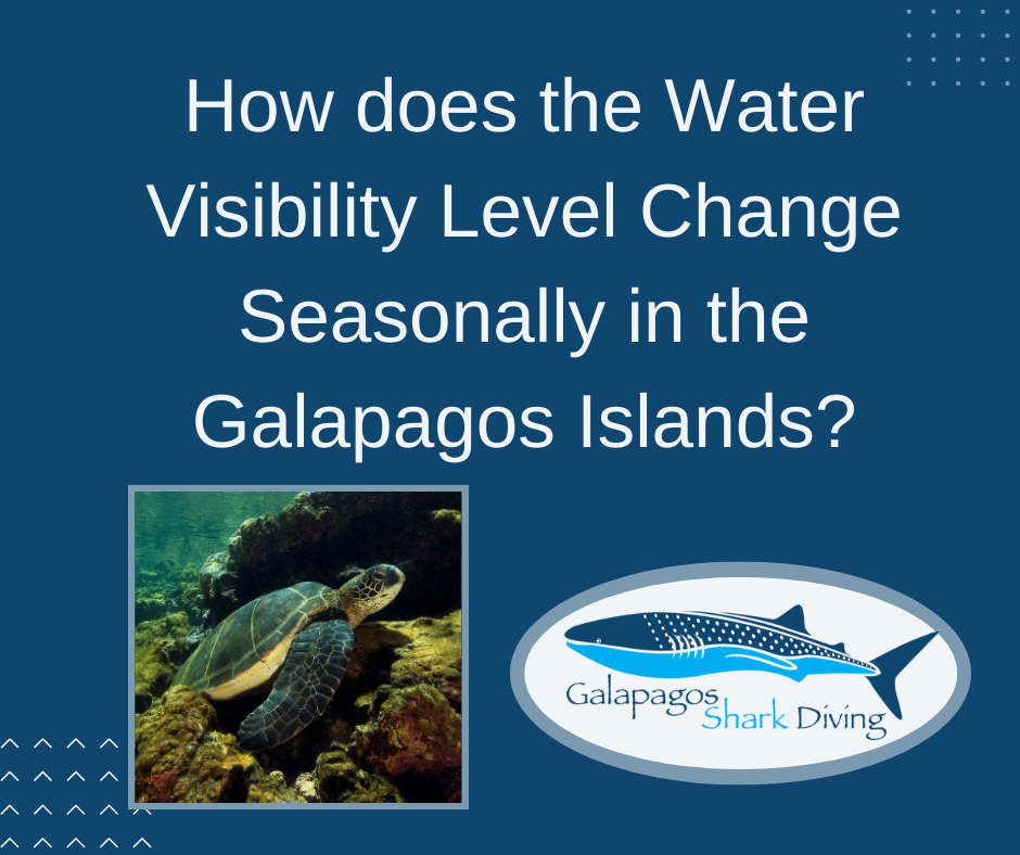 Seasonal Water Visibility Changes