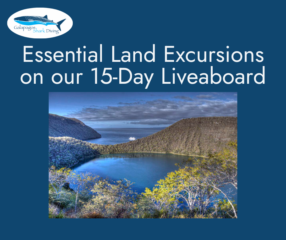 Land Excursions 15-Day Liveaboard