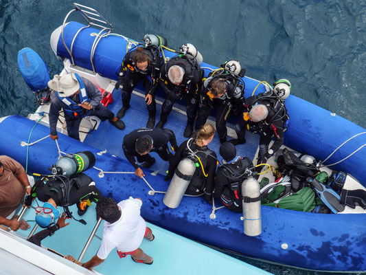 7 scuba divers sit in the Zodiac boat as they get ready to go out on a dive