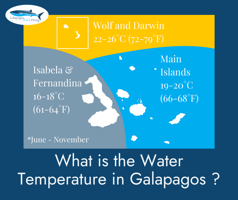 What is the water temperature in the Galapagos Islands?