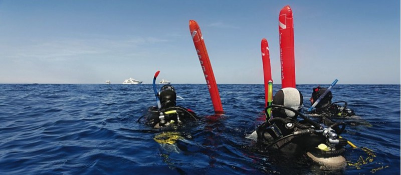 Divers in scuba gear with safety sausages inflated wait for the boat to pick them up after their dive in the Galapagos Islands
