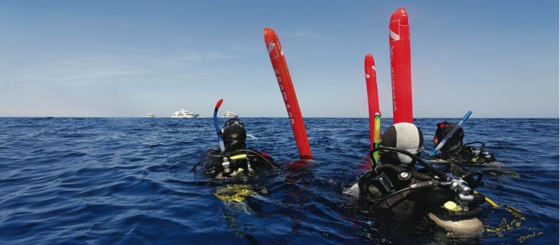 Divers in scuba gear with safety sausages inflated wait for the boat to pick them up after their dive in the Galapagos Islands  