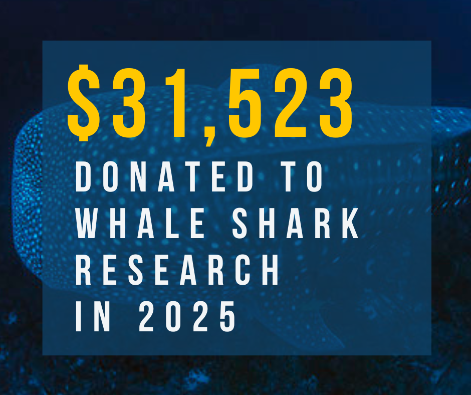 Impact Report 2025: When Diving Becomes Conservation
