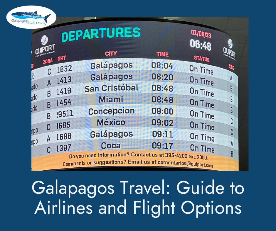 Guide: Airlines and Flight Options