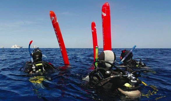 Divers on the surface, ©Galapagos Shark Diving