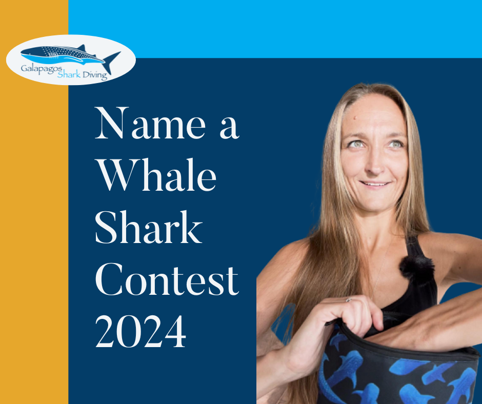 Winners of the 2024 ‘Name a Whale Shark’ Contest