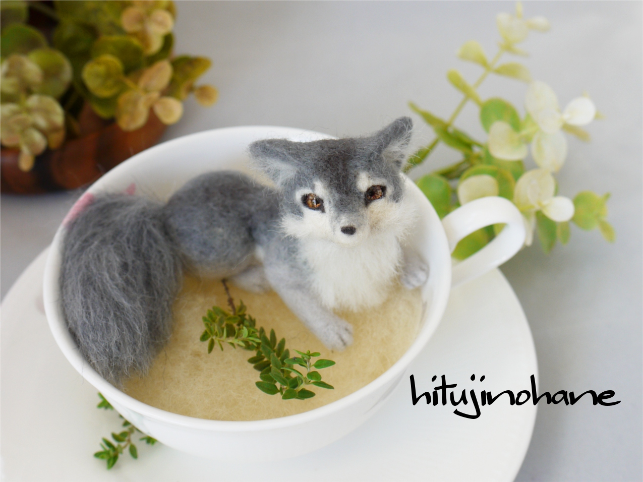 ティーカップウルフ　オオカミとっても大好き展用