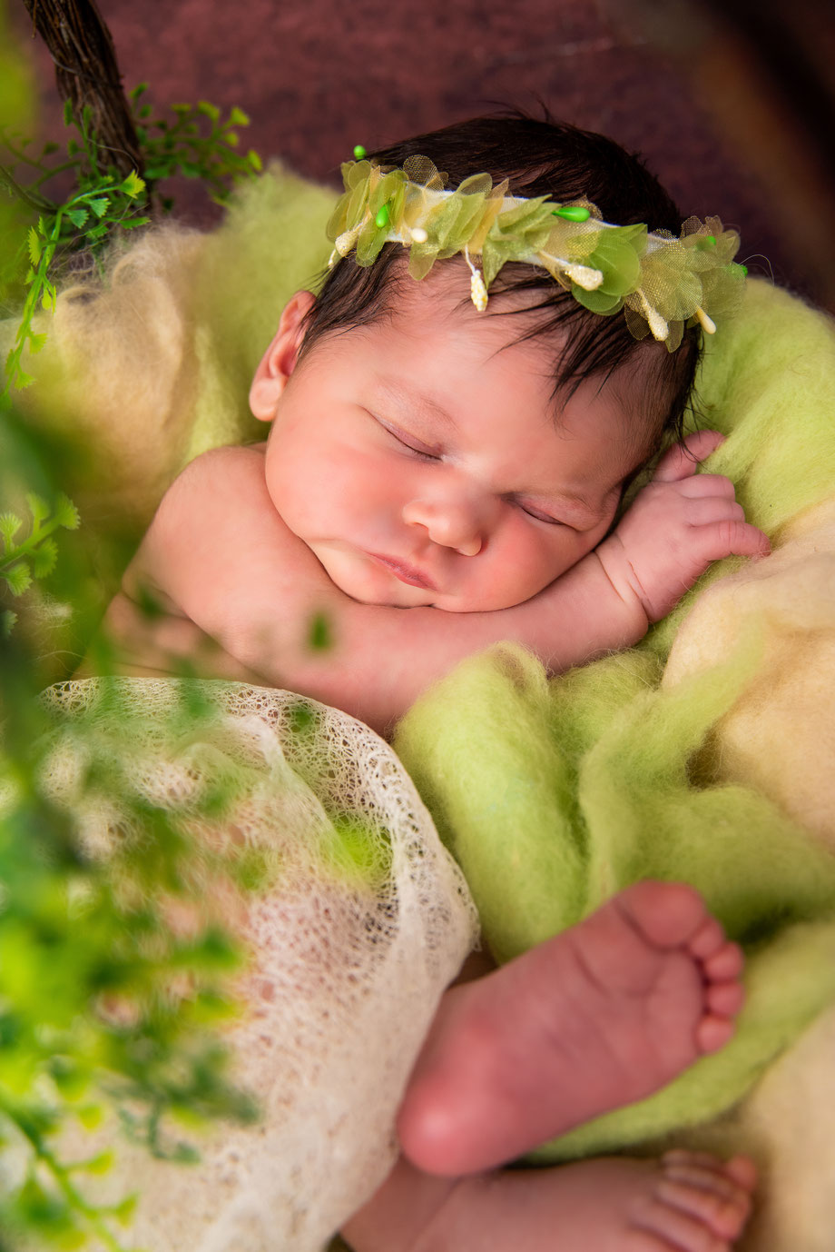 newborn shoot with green plants