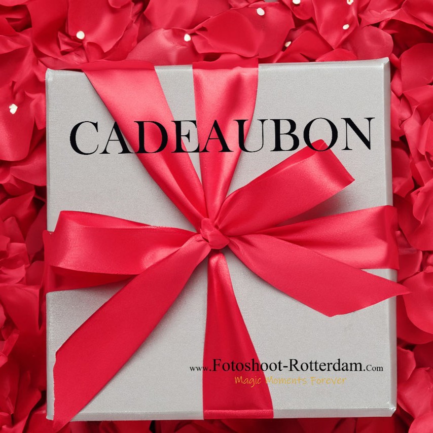 portret als cadeau