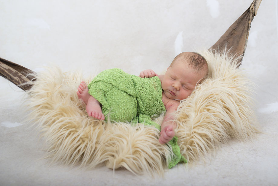 newborn shoot in jungle