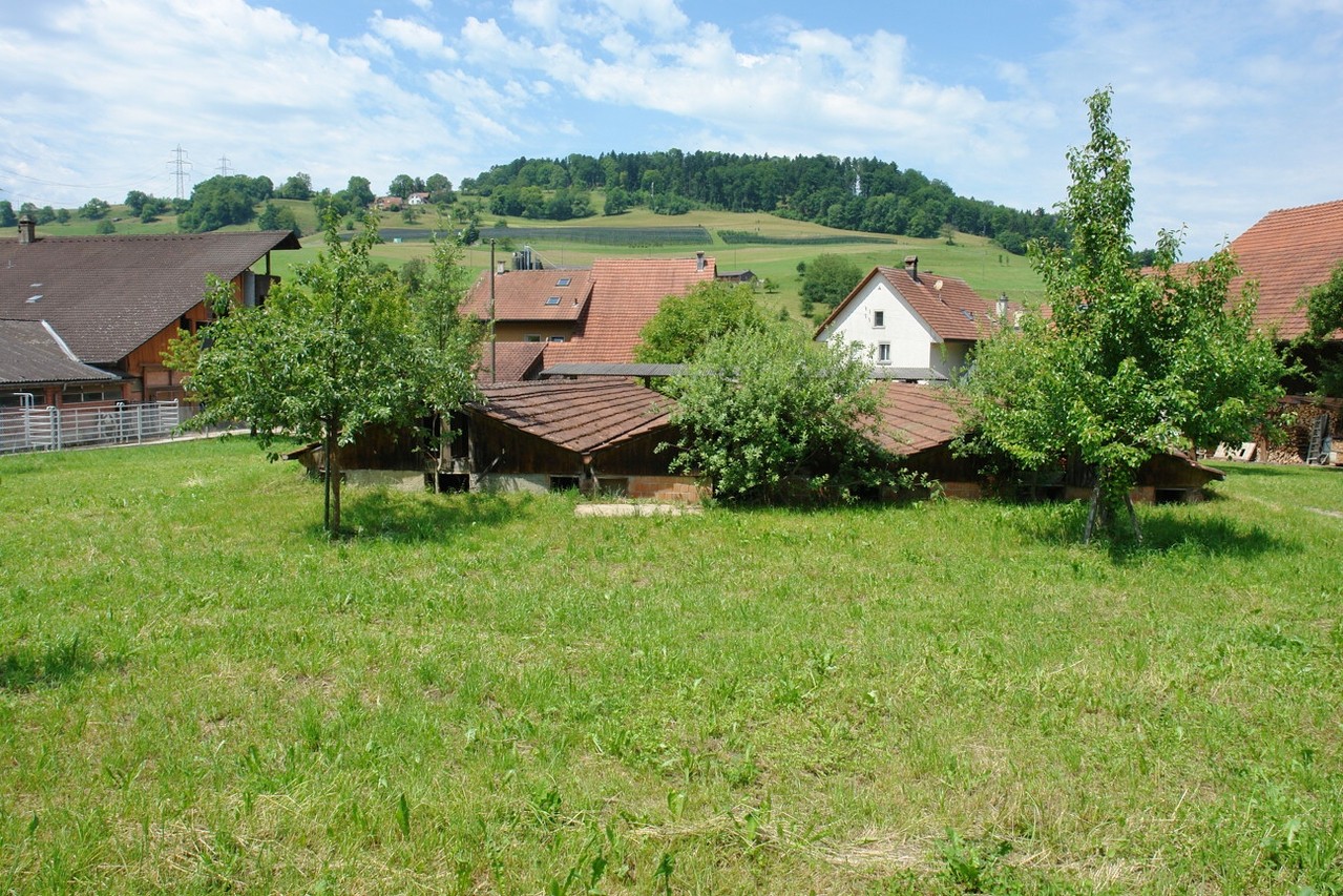 SULZ (LAUFENBURG) - staeuble-immobiliens Webseite!