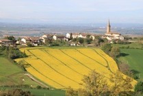 Retrouvez le bien être avec la méditation