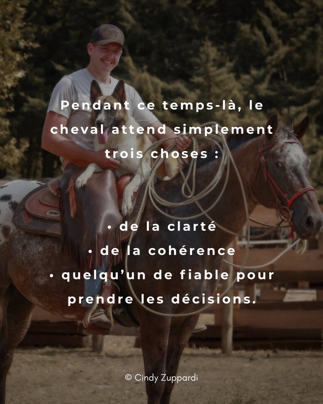 Un cheval ne demande rien… mais il a besoin de comprendre
