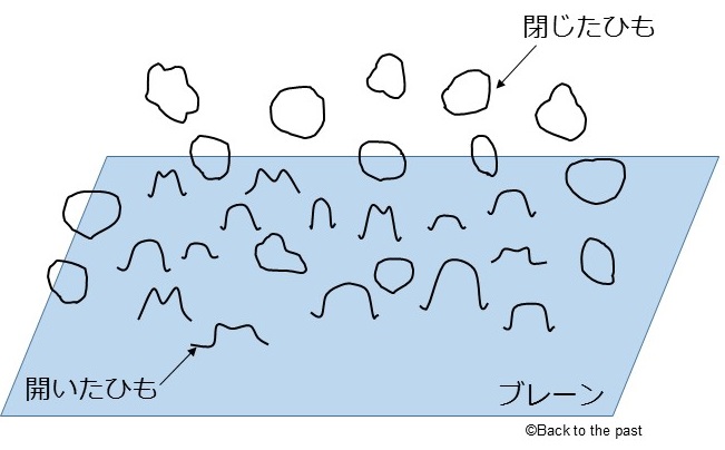 閉じたひもと開いたひも