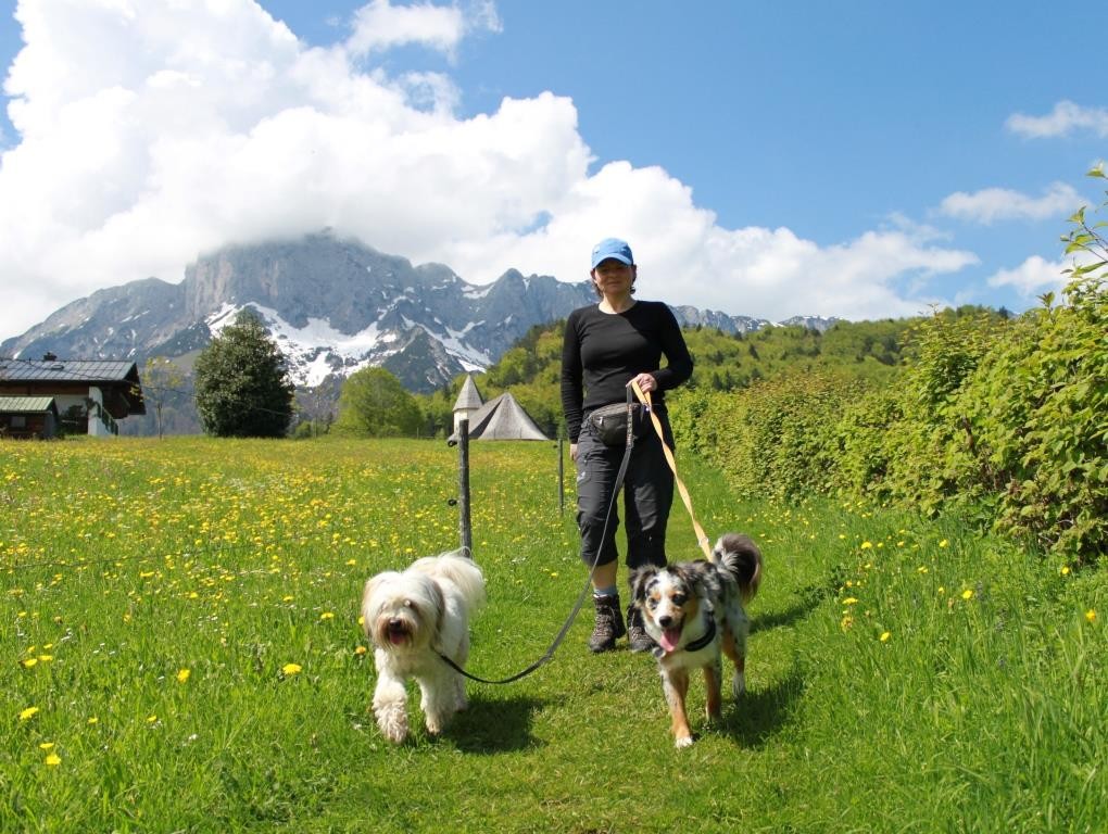 Wanderung über die Alm