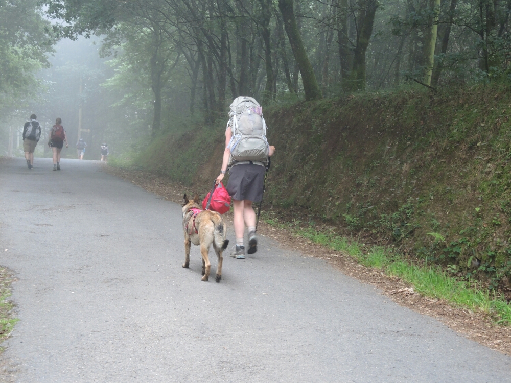 Eine Pilgerin mit dem Hund. Die Hunde und Pferde vertragen schlecht denn Jakobsweg und haben auf Dauer ein Problem jeden Tag über 30 km zu laufen . Nur der Mensch verträgt das reltiv gut.