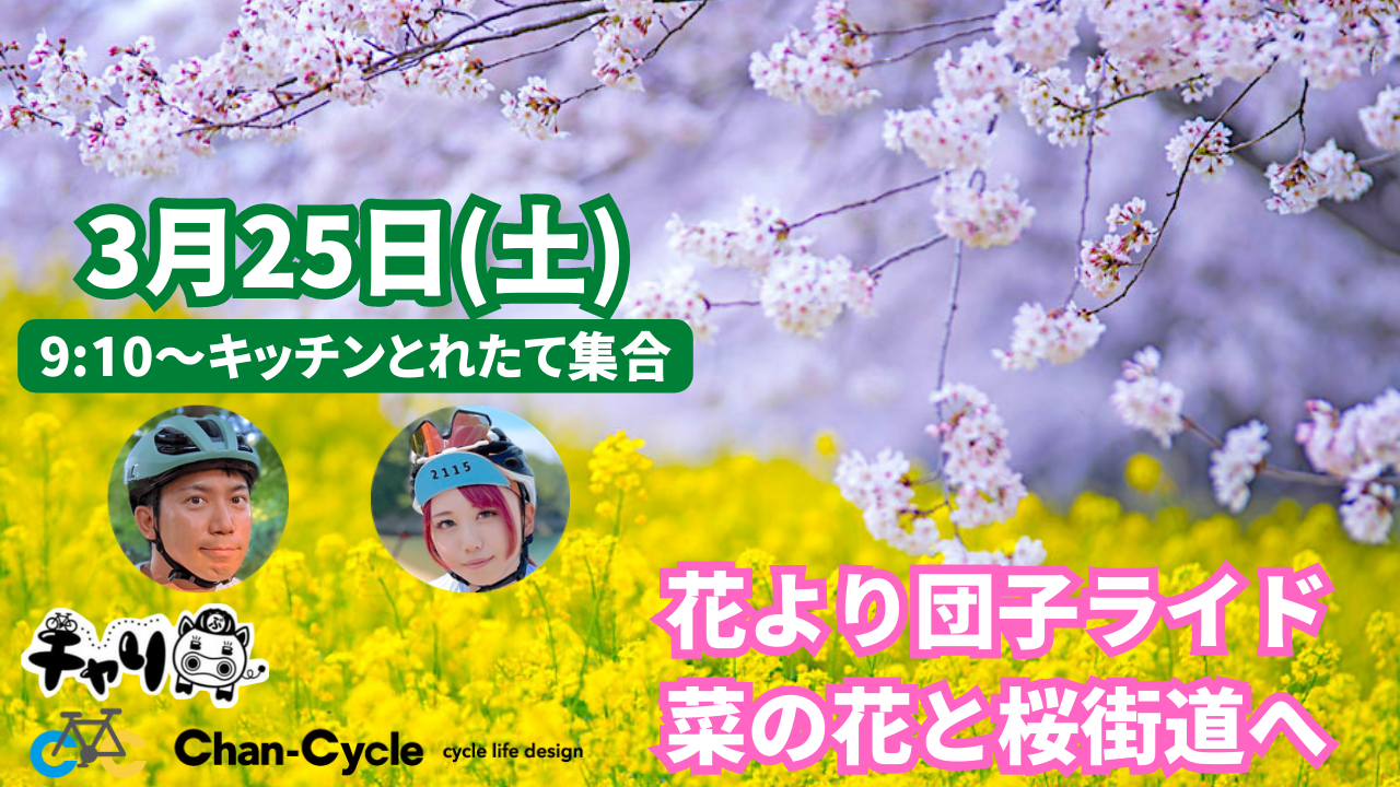 花より団子サイクリング!!菜の花と風車と桜街道へ【第5回】大人の自転車部!!チャリ部開催