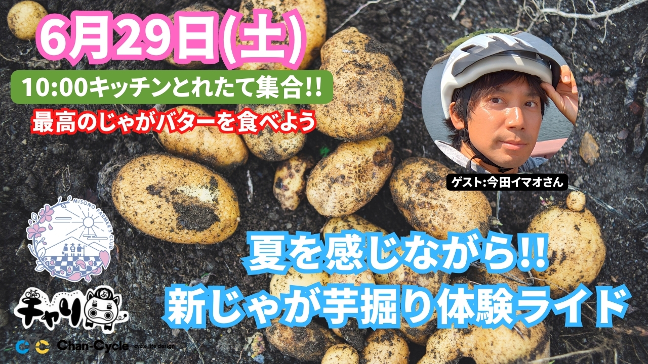グラベル体験もできちゃう!新緑に包まれた初夏のジャガイモ掘り体験2024年!!最高のじゃがバターをご賞味くださいwith 美園ファーマーズ倶楽部