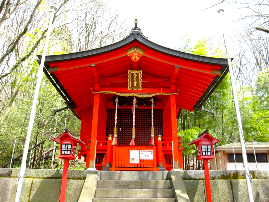 ♪◇箱根神社(神奈川・箱根)◇御朱印「九頭龍神社」 令和6年(