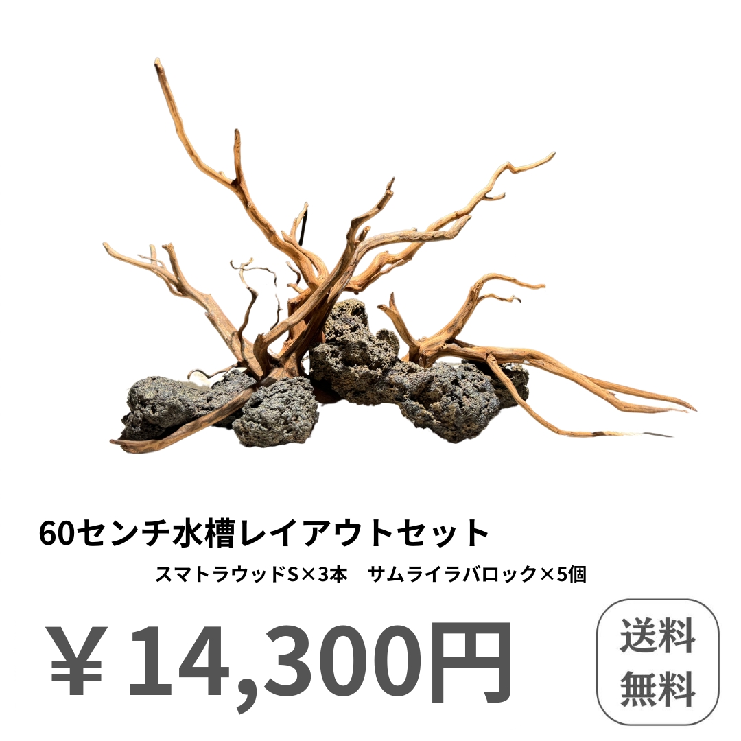 60センチ水槽レイアウトセット - 水槽素材【公式】 60センチ水槽レイアウトセット - 水槽素材【公式】