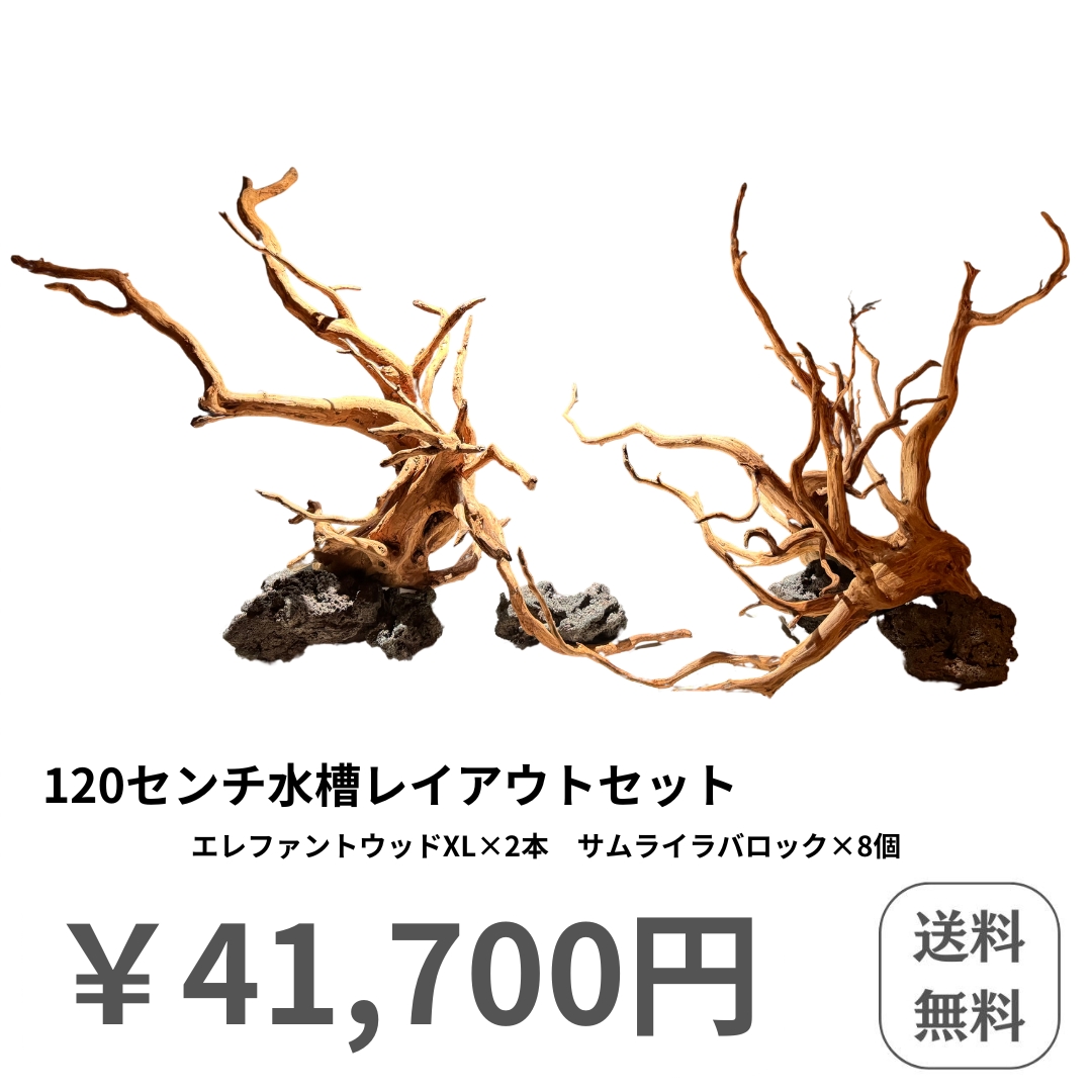 120センチ水槽レイアウトセット - 水槽素材【公式】