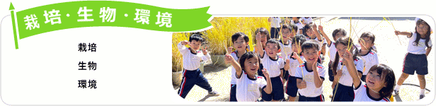 栽培（米・夏野菜・花）