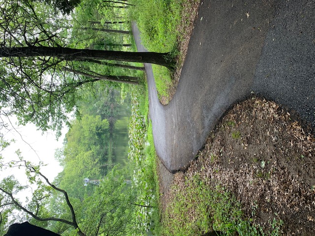 New paved trail through the Reserve