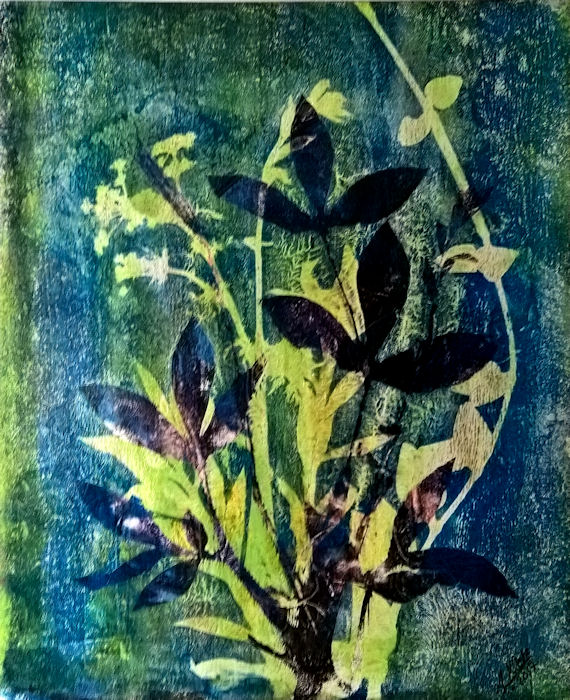 42x50 (5789)