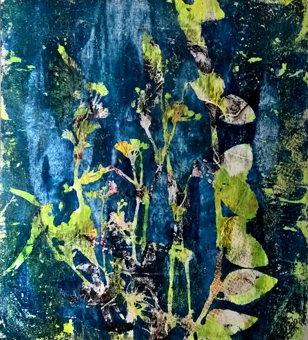 46x48 (5798)